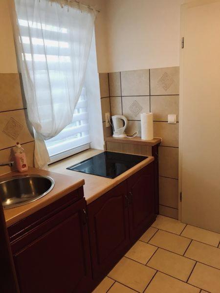 Ferienwohnung Willi I 施普伦贝格 外观 照片